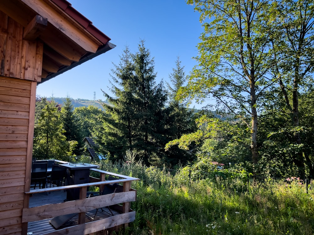 a view of a wooded area from a cabin