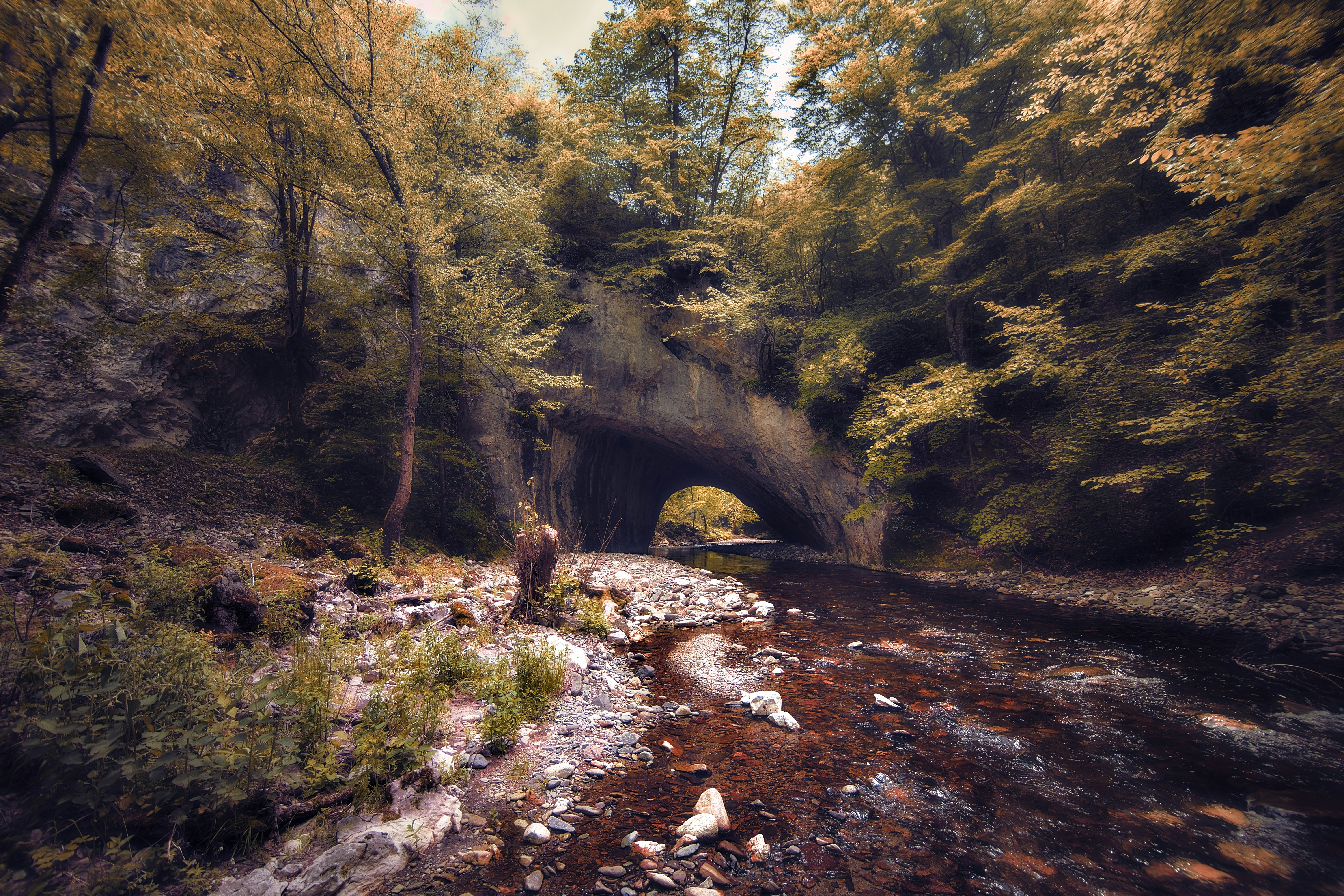 Photo by blooddrainer