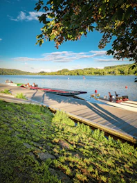 A dragon boat team paddling fiercely through shimmering water under a clear blue sky.