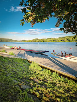 A dragon boat team paddling fiercely through shimmering water under a clear blue sky.