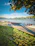 A scenic waterfront view featuring long dragon boats moored beside a wooden pier. Lush greenery and tree branches frame the top and sides of the image. The calm water reflects a clear blue sky with scattered clouds, and a forested landscape stretches across the horizon.