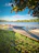 A scenic waterfront view featuring long dragon boats moored beside a wooden pier. Lush greenery and tree branches frame the top and sides of the image. The calm water reflects a clear blue sky with scattered clouds, and a forested landscape stretches across the horizon.