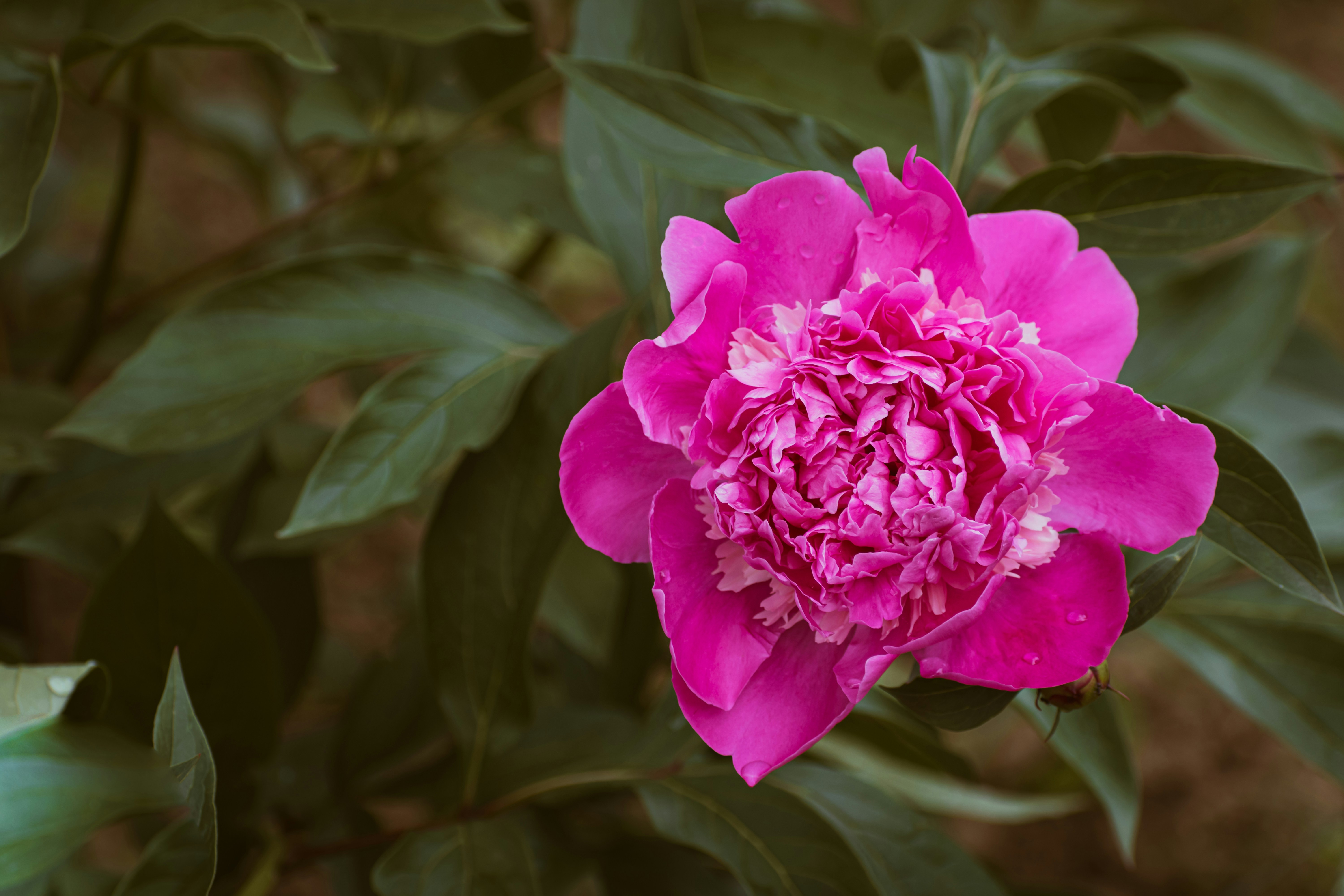 Photo by niki_emmert