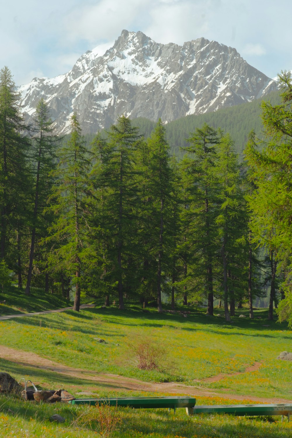 a grassy field with trees and mountains in the background