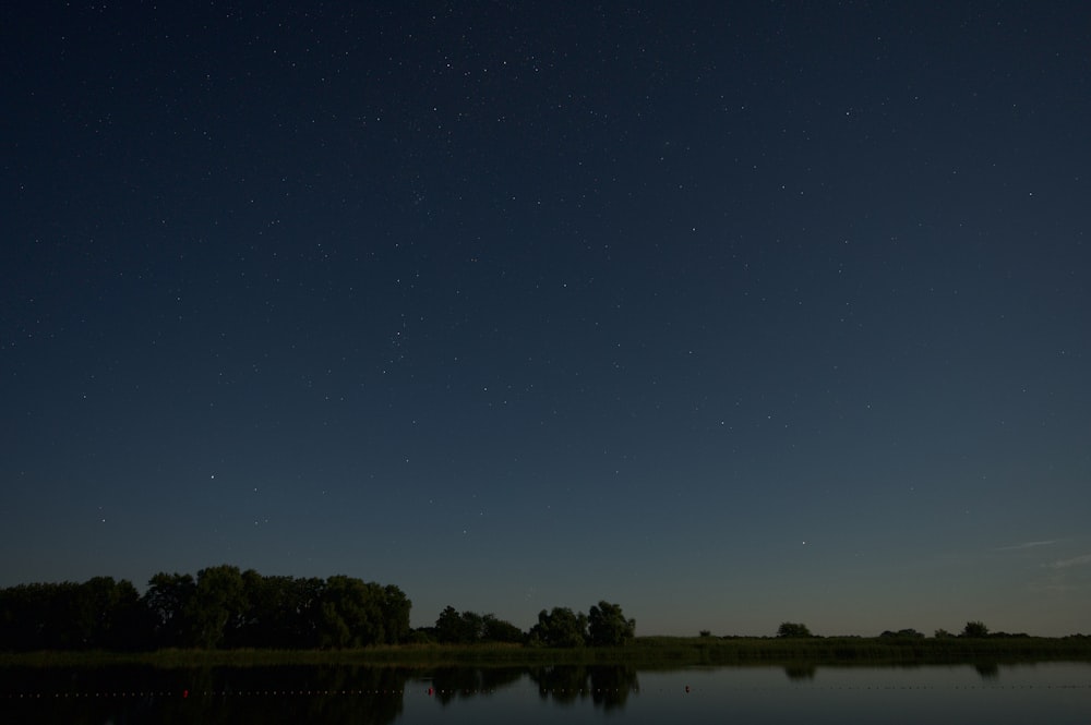 a body of water with trees in the background