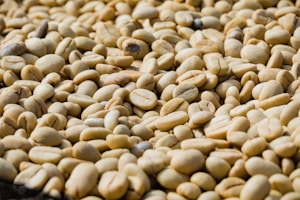 A close-up view of a large pile of unroasted coffee beans, varying slightly in shape and size. The beans have a pale, beige color with visible textures and grooves on their surfaces, suggesting a natural and organic appearance.