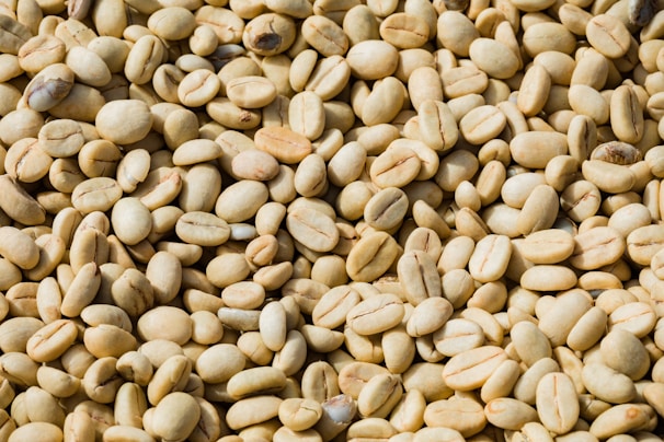 A close-up view of a large collection of unroasted coffee beans, with a pale beige color and a smooth, oval shape. The beans are laid out in a random, dense pattern, showcasing their natural imperfections.