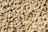 A close-up view of a large collection of unroasted coffee beans, with a pale beige color and a smooth, oval shape. The beans are laid out in a random, dense pattern, showcasing their natural imperfections.