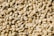 A close-up view of a large collection of unroasted coffee beans, with a pale beige color and a smooth, oval shape. The beans are laid out in a random, dense pattern, showcasing their natural imperfections.