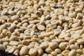 A close-up view of a large number of light brown, unroasted coffee beans. The beans are piled together in an irregular manner, showcasing their natural texture and variations in size.