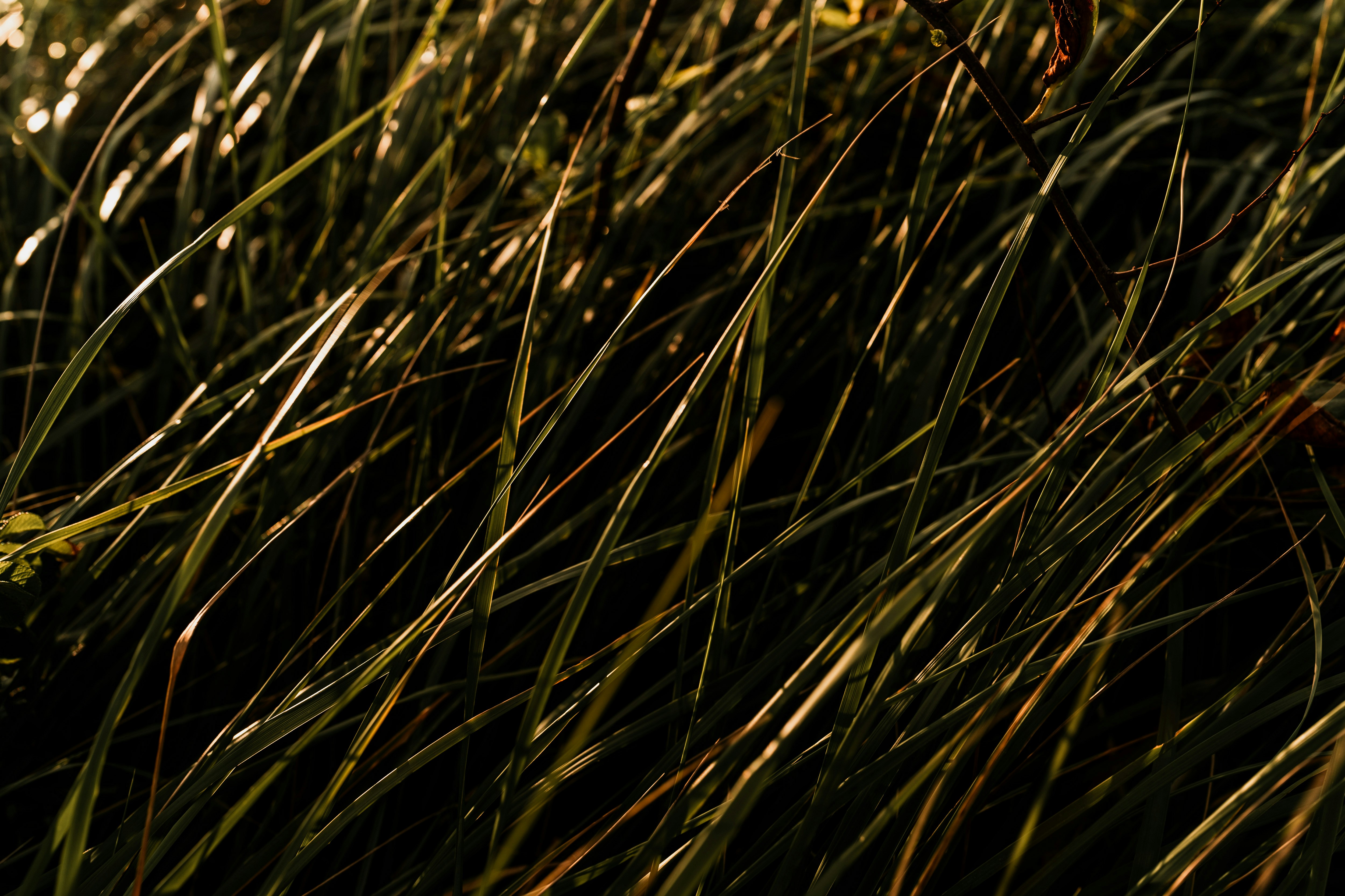 Pristine beach with turquoise water and dramatic cliffs in a U.S. National Park