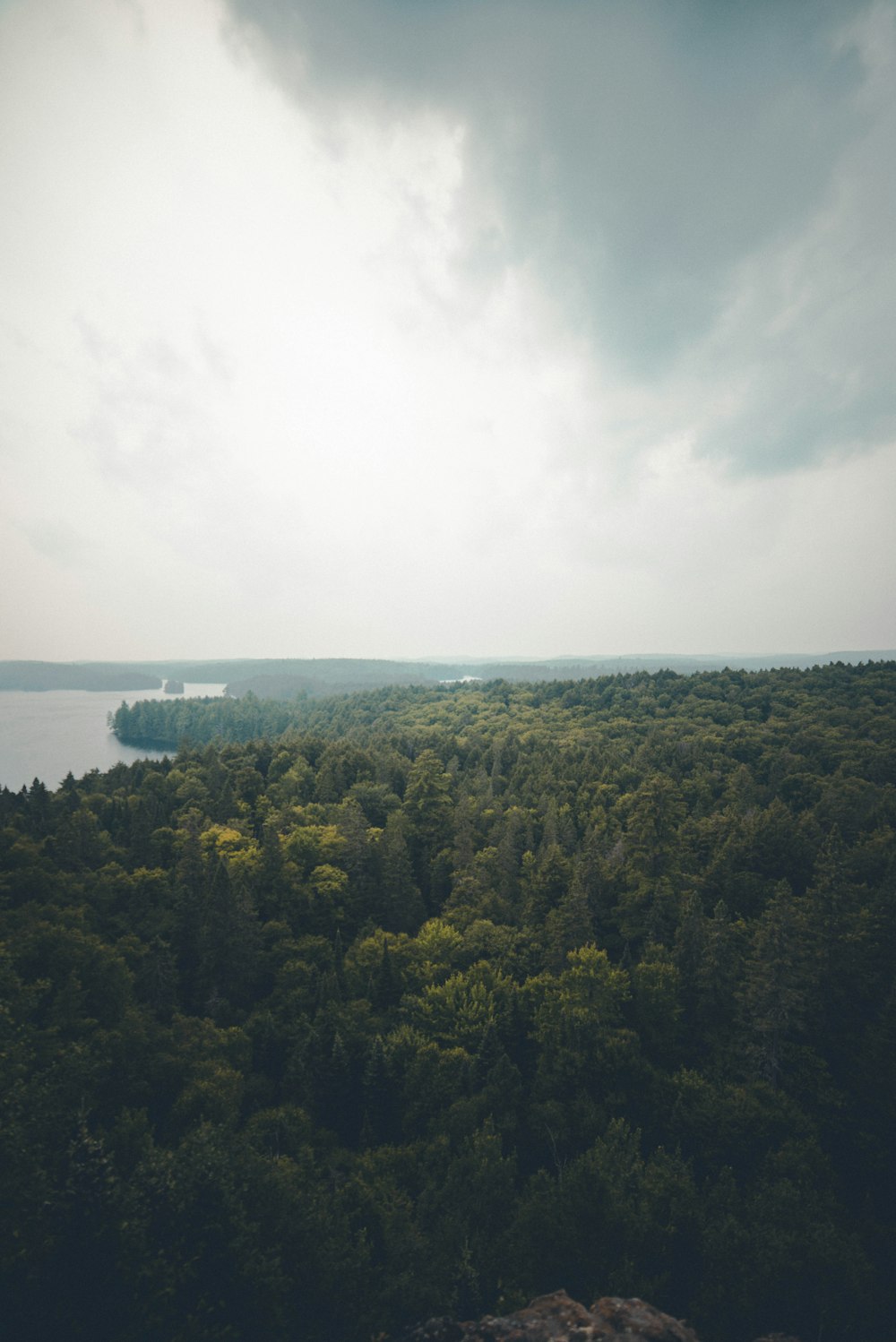 a scenic view of a forest with a lake in the distance