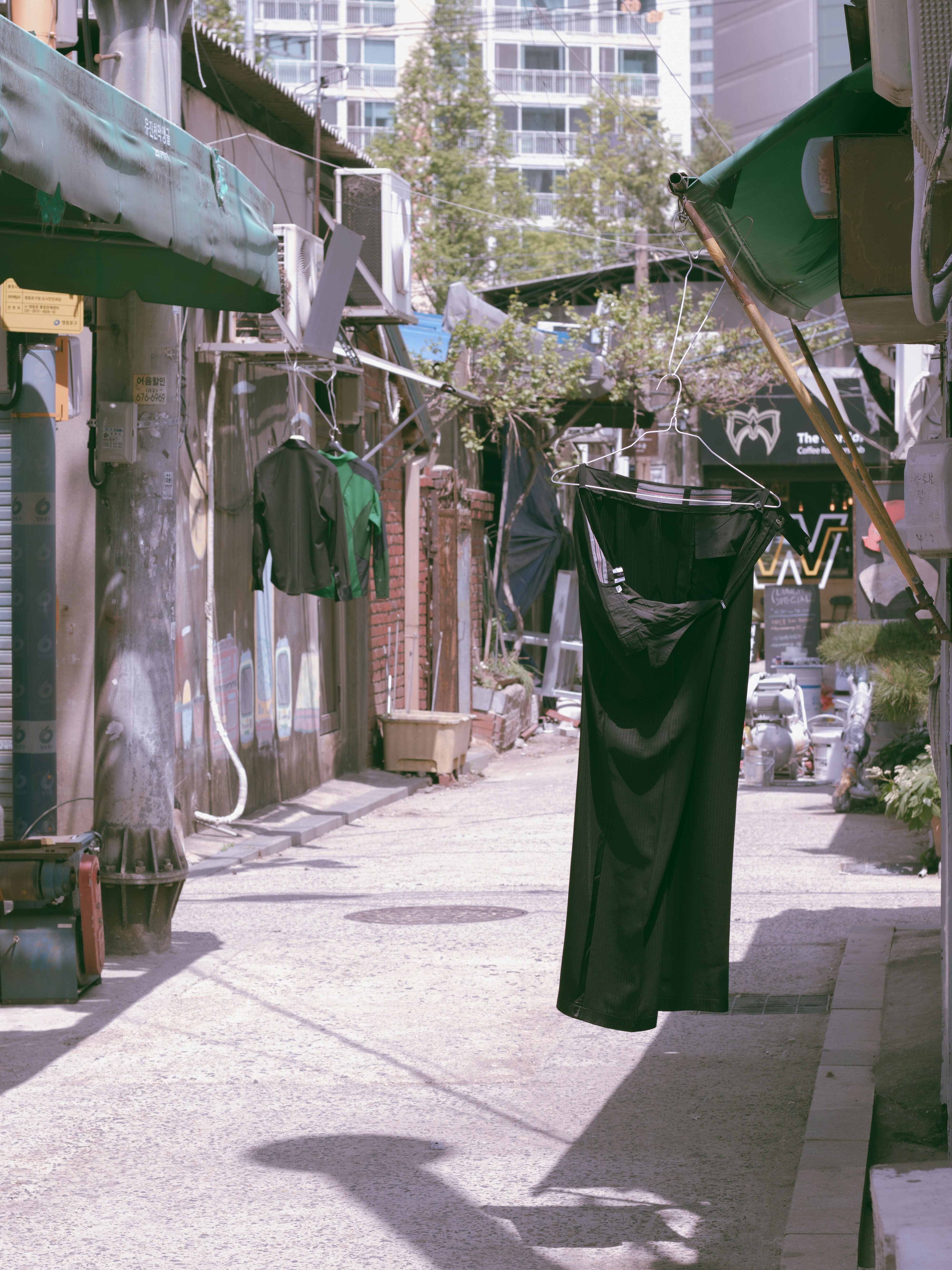 photo-1691999821828-86a3989f1df0?ixid=M3