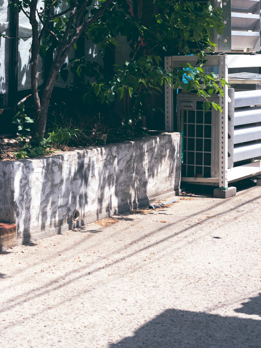 a cat sitting on a ledge next to a tree