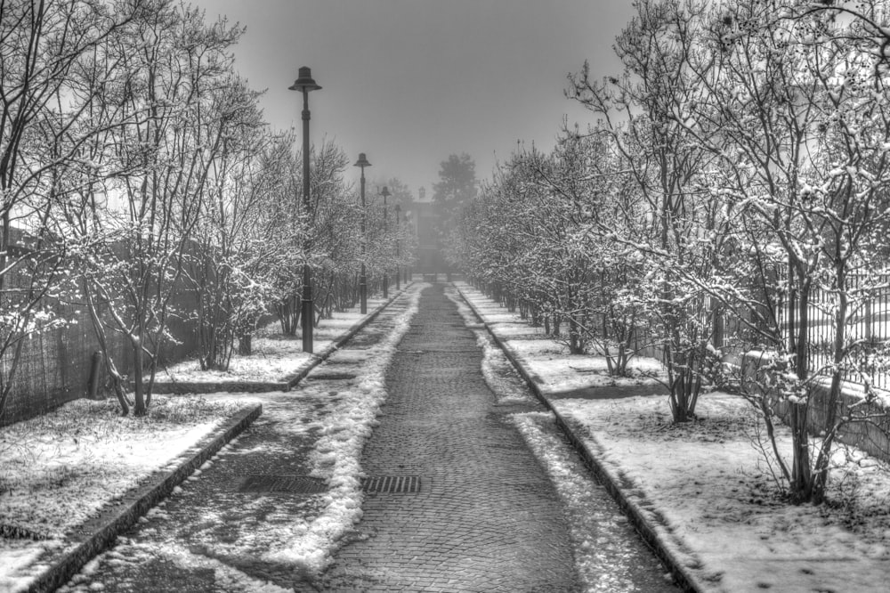 a black and white photo of a snowy path