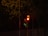 A traffic signal with a visible countdown displays a red light, indicating a stop. The number 25 is illuminated above the red light. The scene is set at night with the traffic light partially concealed by overhanging branches from nearby trees.