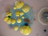 Various colonies of bacteria and fungi, including bright yellow and blue growths, are visible on an agar dish. The colonies appear in different sizes and textures, highlighting diverse morphological characteristics. There's a cluster of dense yellow formations amidst scattered blue specks, and a grayish, fuzzy circle to the right.