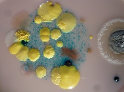 Various colonies of bacteria and fungi, including bright yellow and blue growths, are visible on an agar dish. The colonies appear in different sizes and textures, highlighting diverse morphological characteristics. There's a cluster of dense yellow formations amidst scattered blue specks, and a grayish, fuzzy circle to the right.