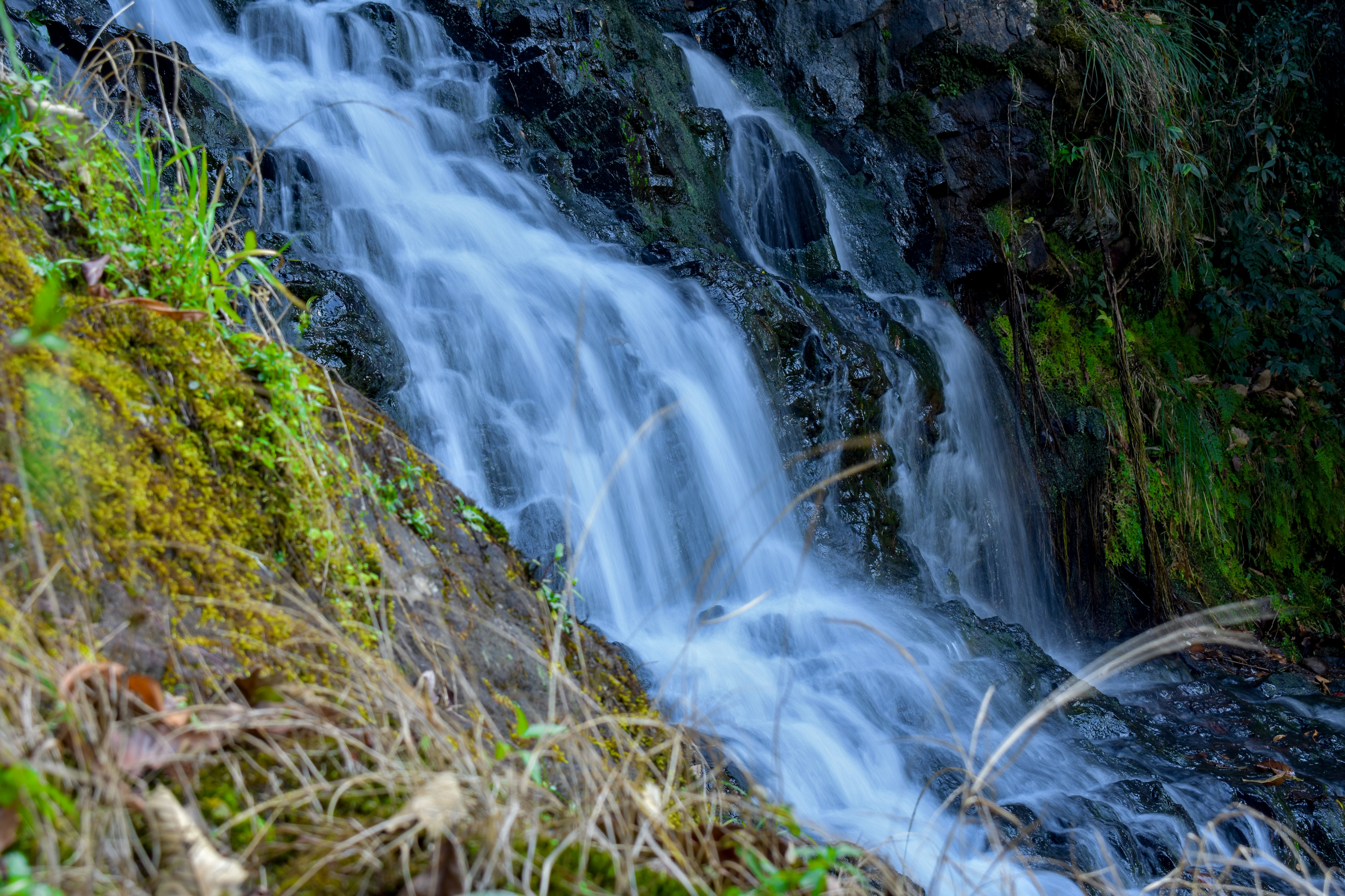 Photo by neelakshi_singh_