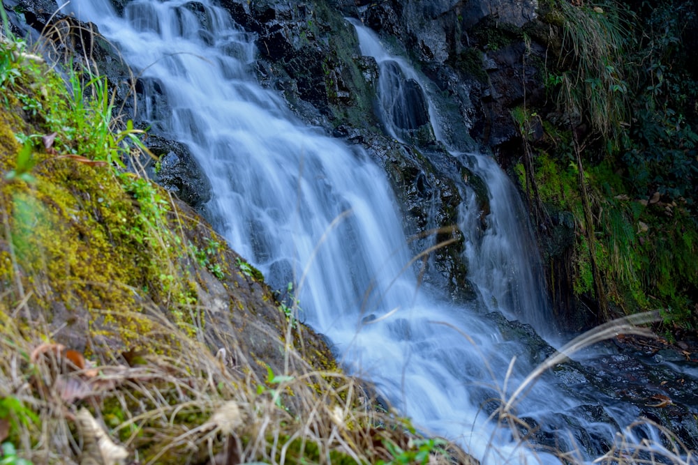 a small waterfall in the middle of a forest