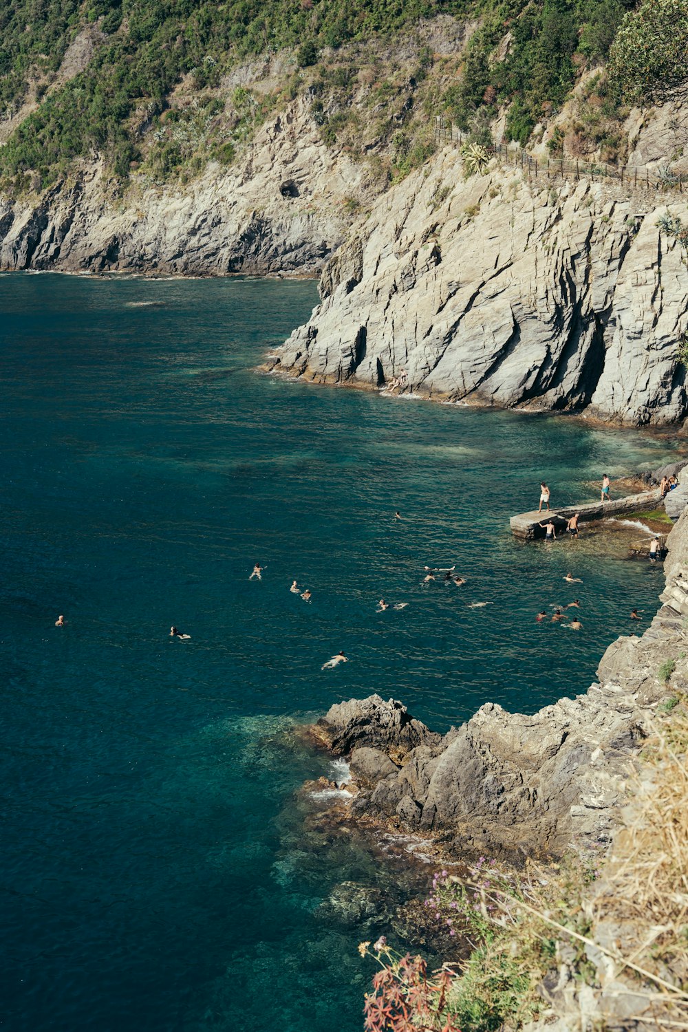 a group of people swimming in a body of water