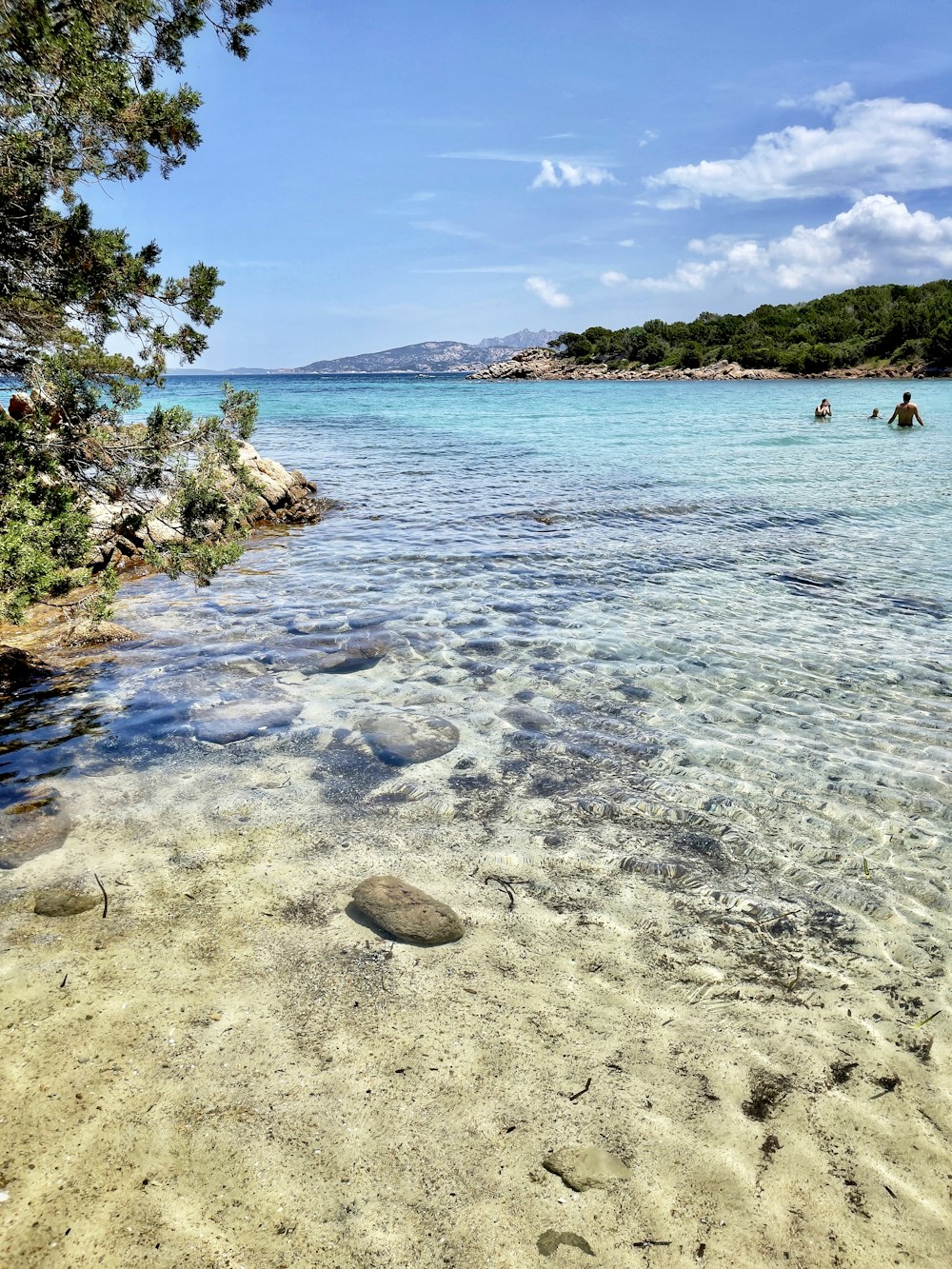 a body of water surrounded by trees and rocks