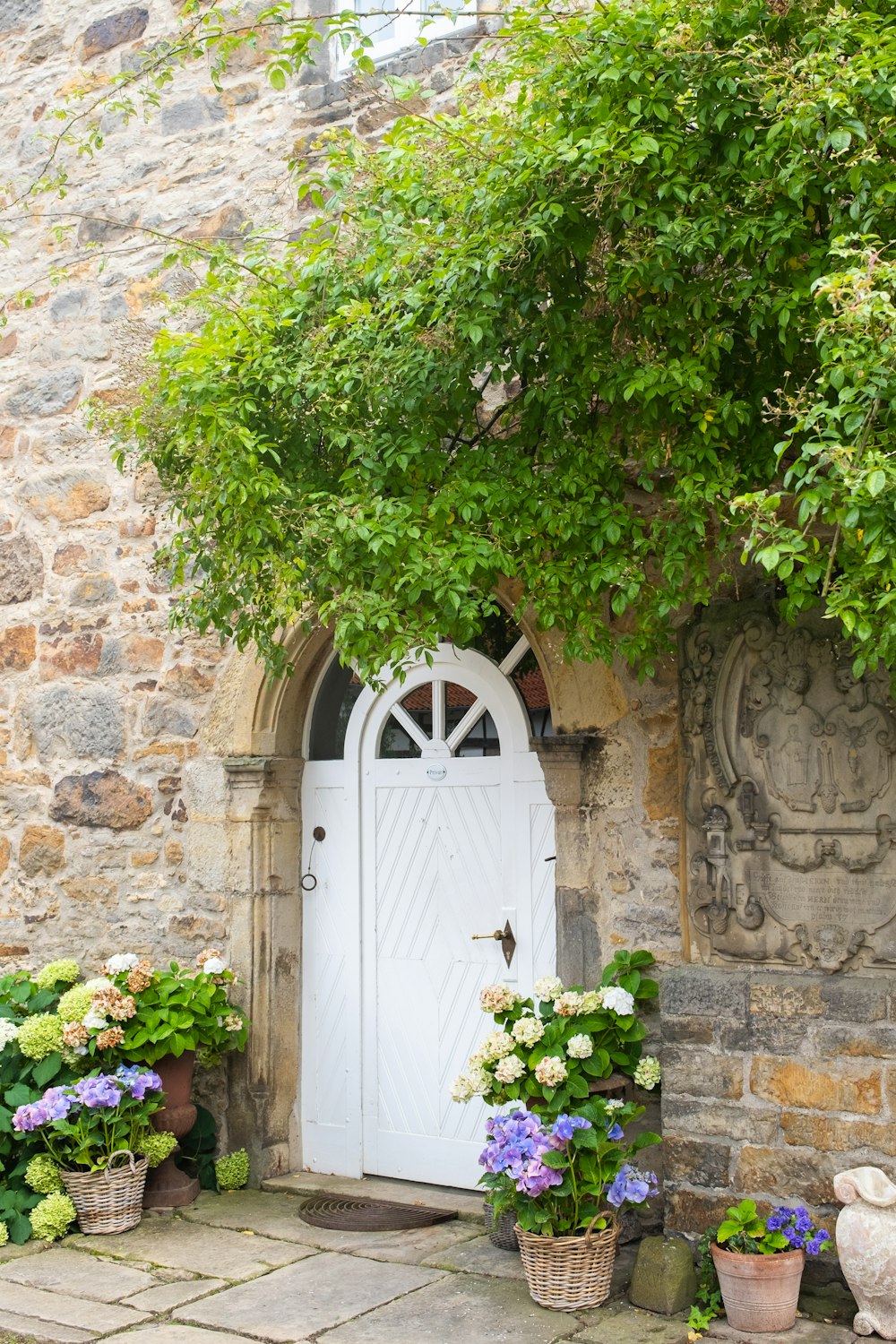 a white door surrounded by potted plants