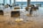 A modern, empty cafeteria area with round tables and sleek, black chairs arranged in an orderly fashion on a carpeted floor. Large windows provide ample natural light, highlighting the clean and minimalist design of the space.