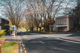 View of a quiet street near the faculty of medicine, lined with trees.
