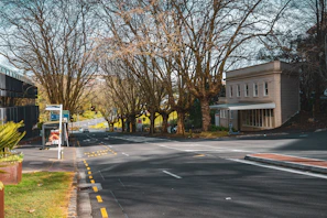 View of a quiet street near the faculty of medicine, lined with trees.