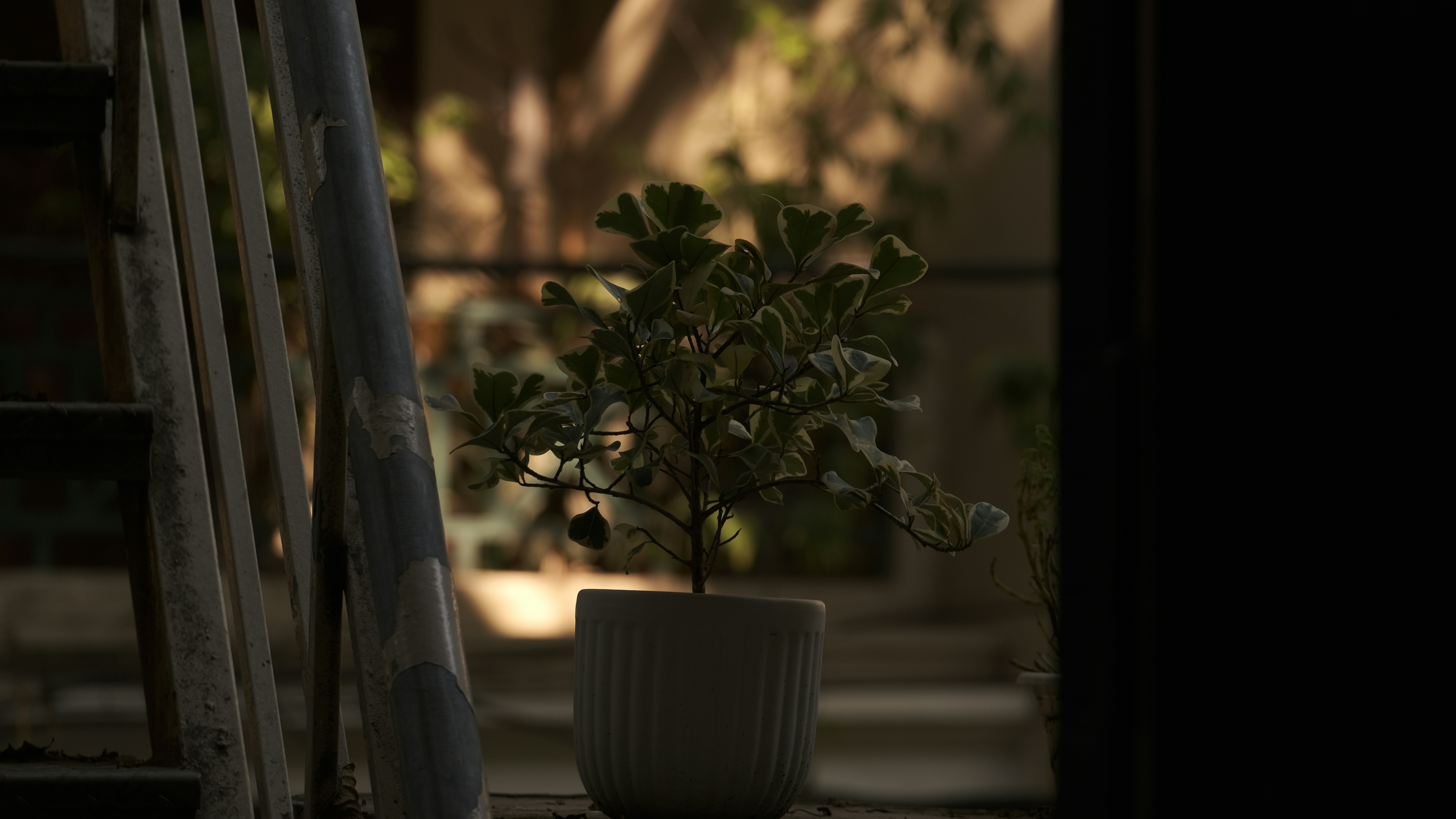 Photo by flying_oldman11