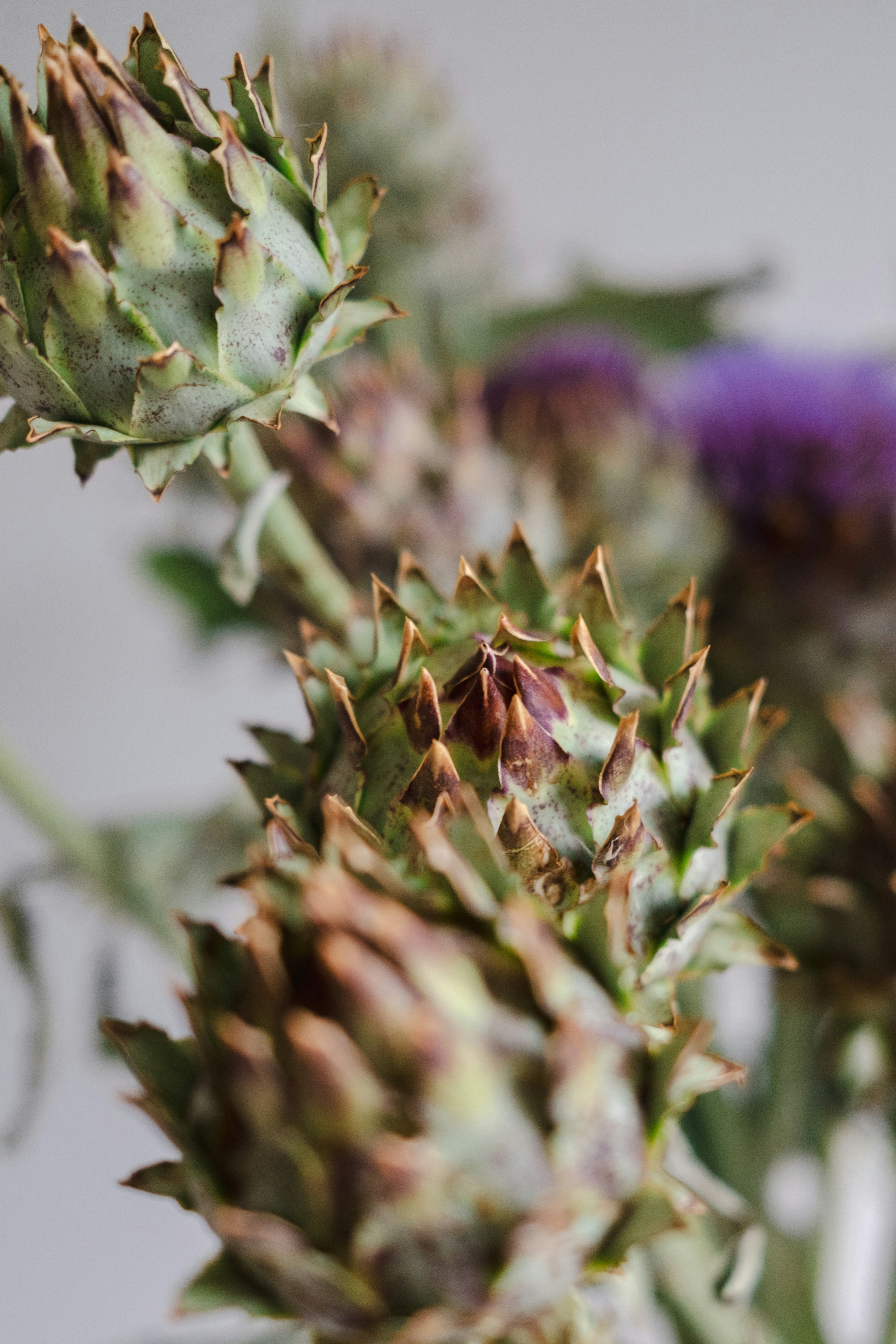 Photo by filipp_roman_photography