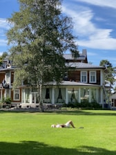 A homeowner happily reviewing their tax documents in a sunny garden.