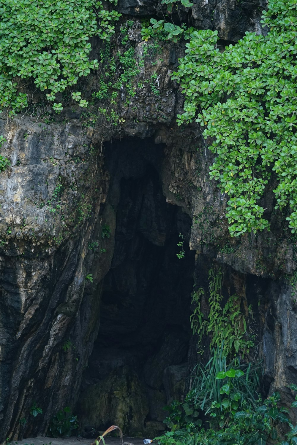 a cave with a bicycle in the middle of it