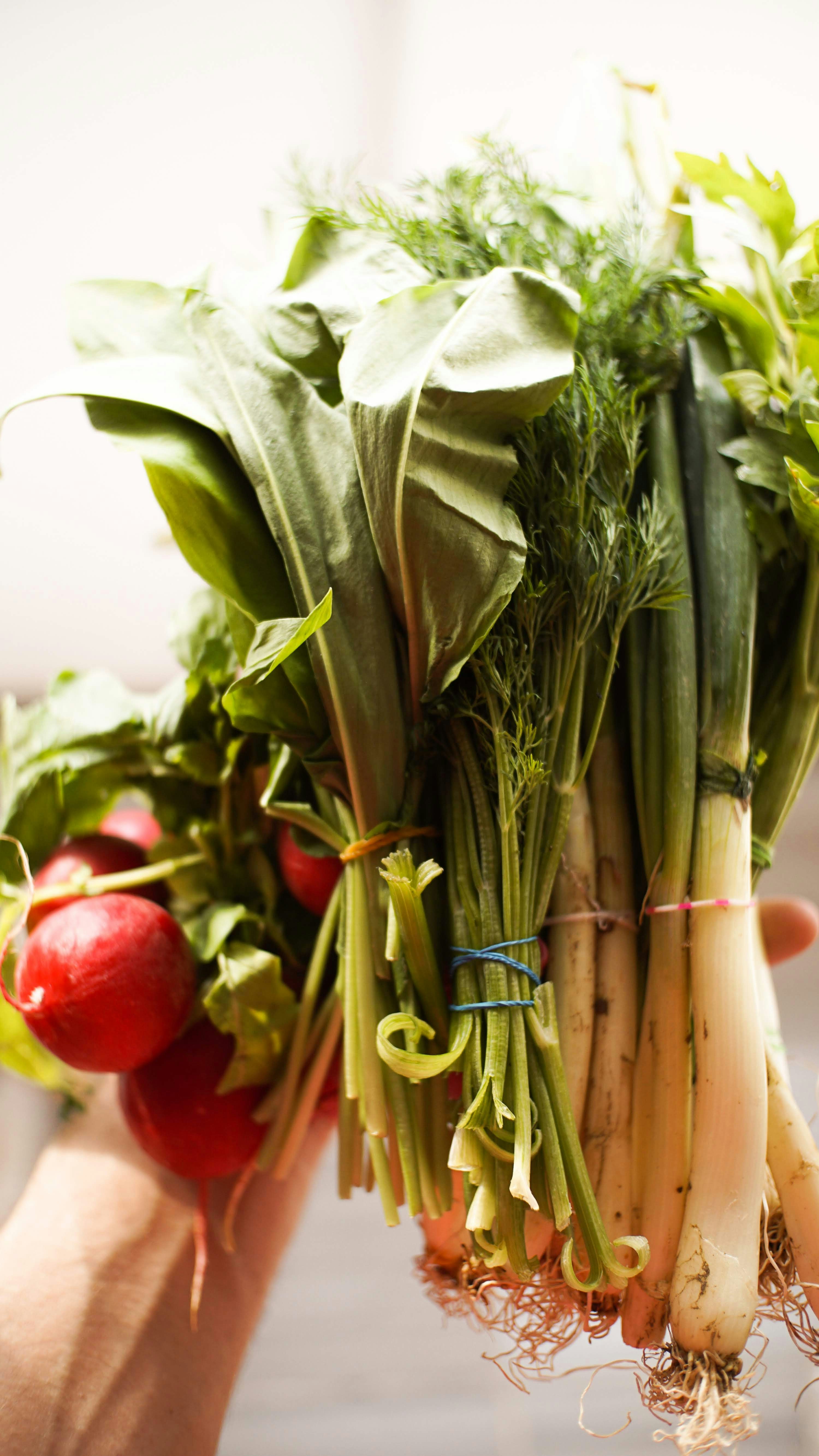 Photo by cosminursea