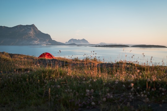 A scenic landscape featuring a vibrant red tent pitched on grassy terrain by a tranquil body of water, with distant mountains under a clear blue sky. The sunlight creates a warm glow, highlighting the natural beauty of the surroundings.