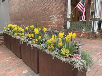Volunteers planting flowers along Main Street during the town beautification day.
