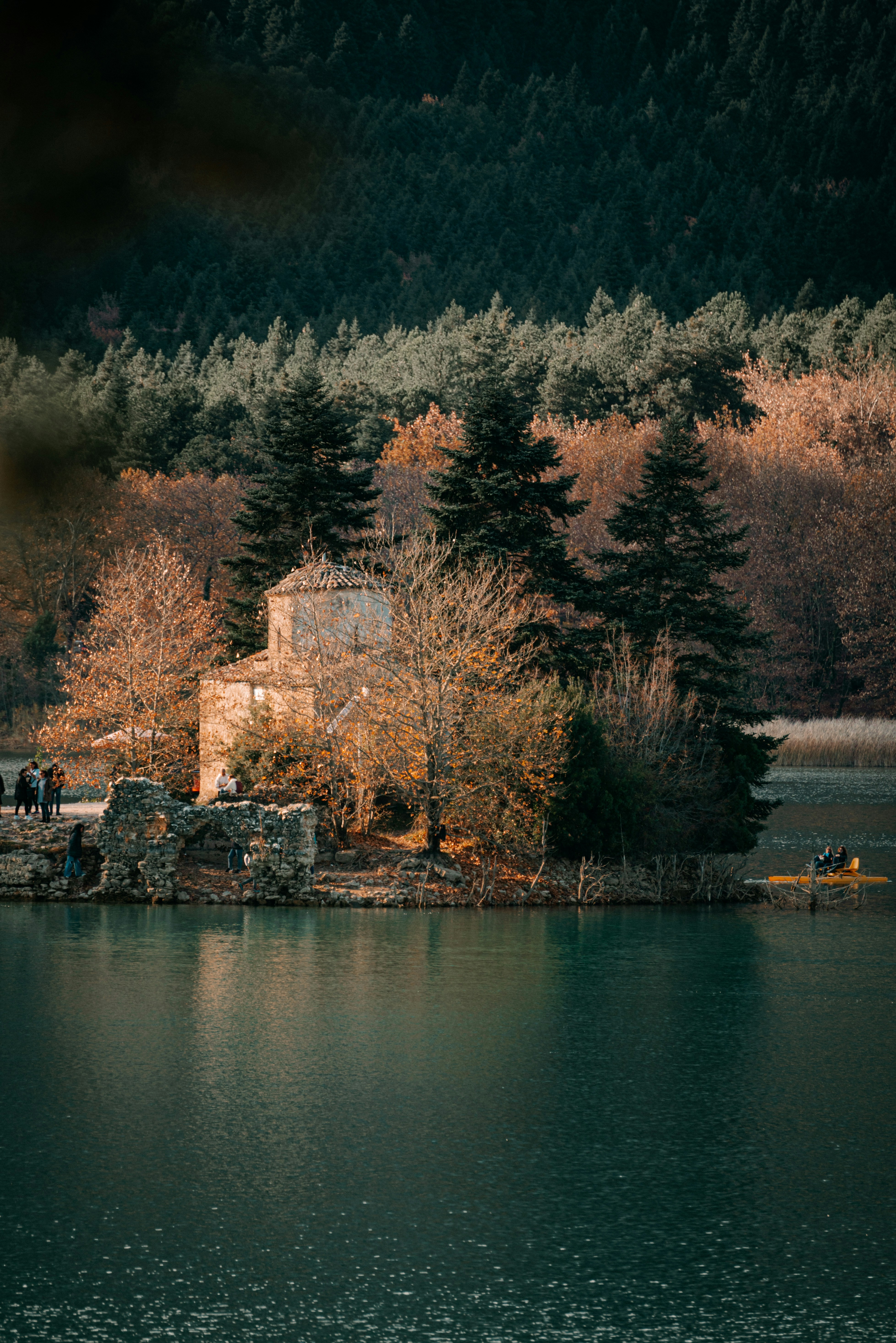 ein Haus, das auf einem See neben einem Wald sitzt
