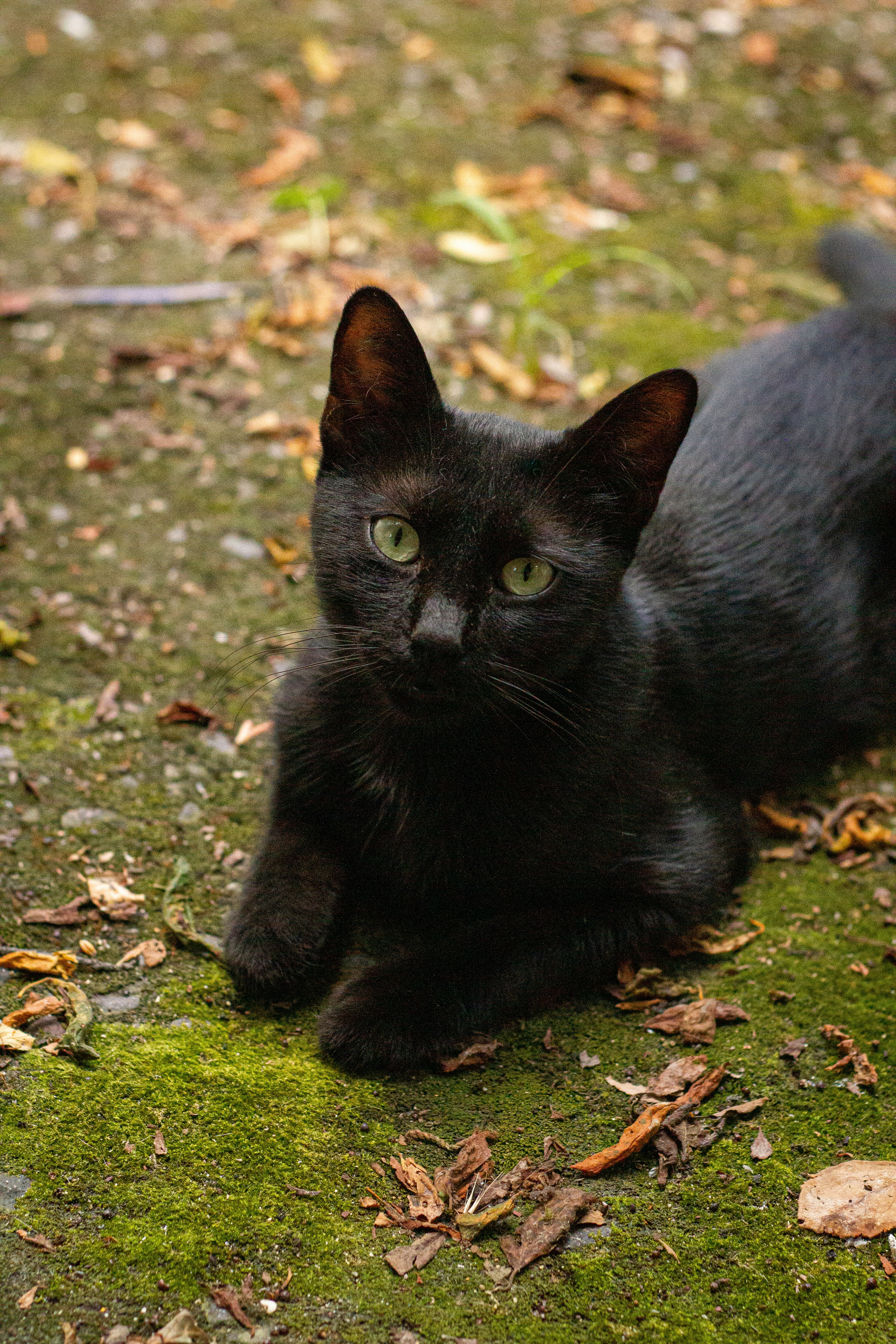 Photo by turrkogluaykut