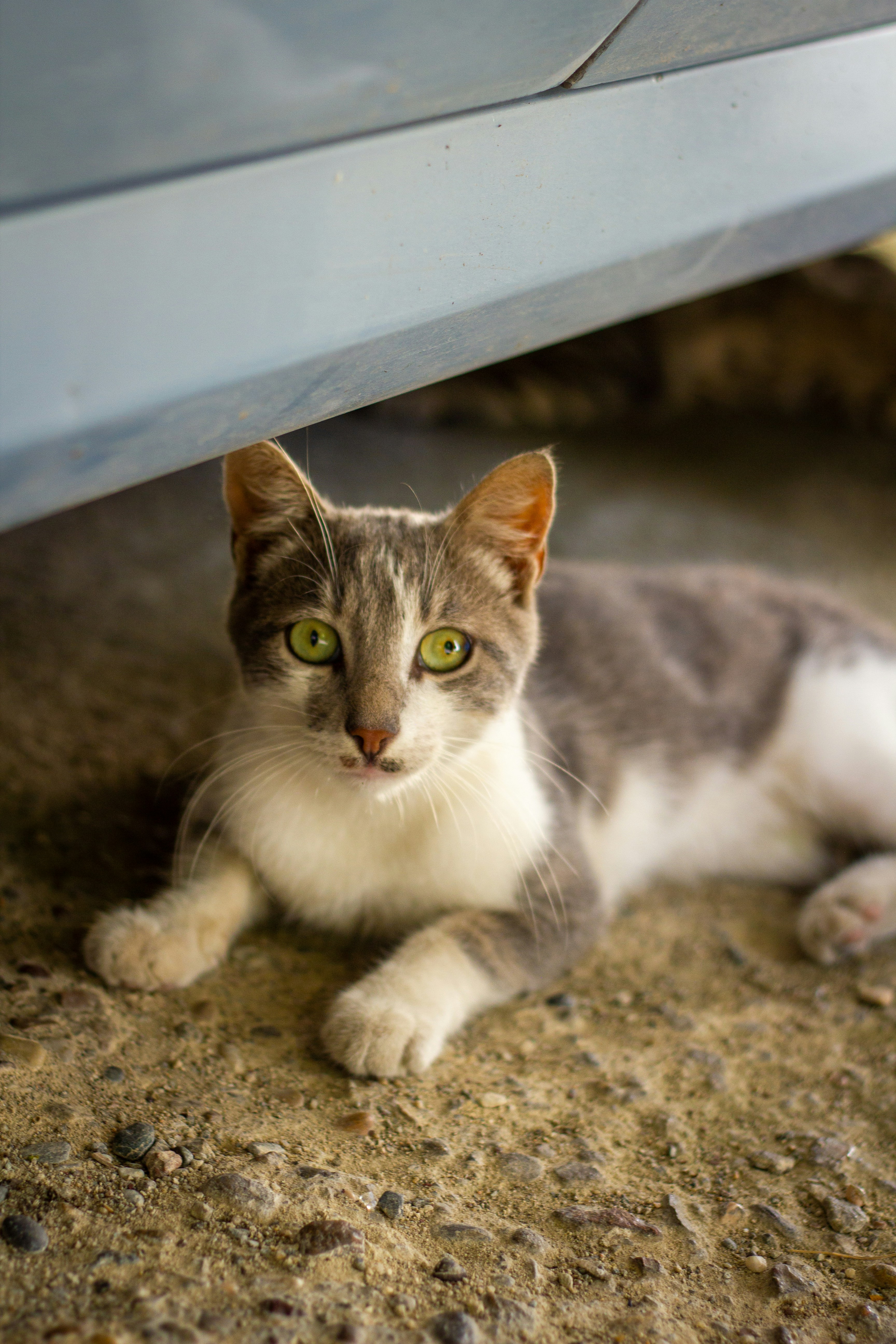 Photo by turrkogluaykut