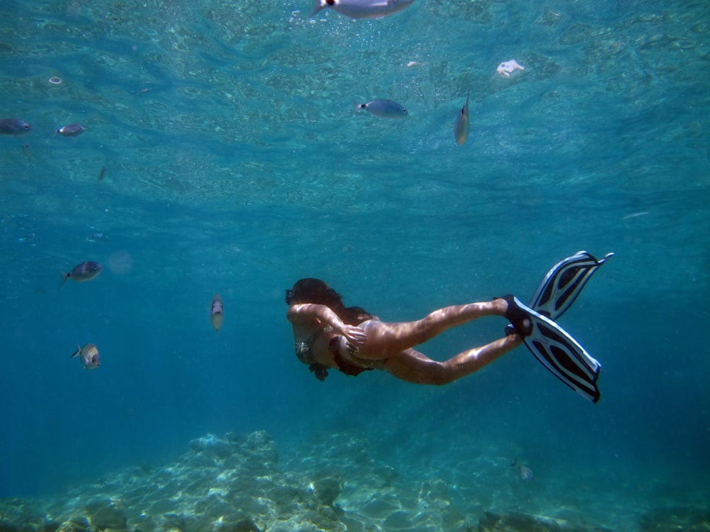 a woman swimming in the ocean with a lot of fish