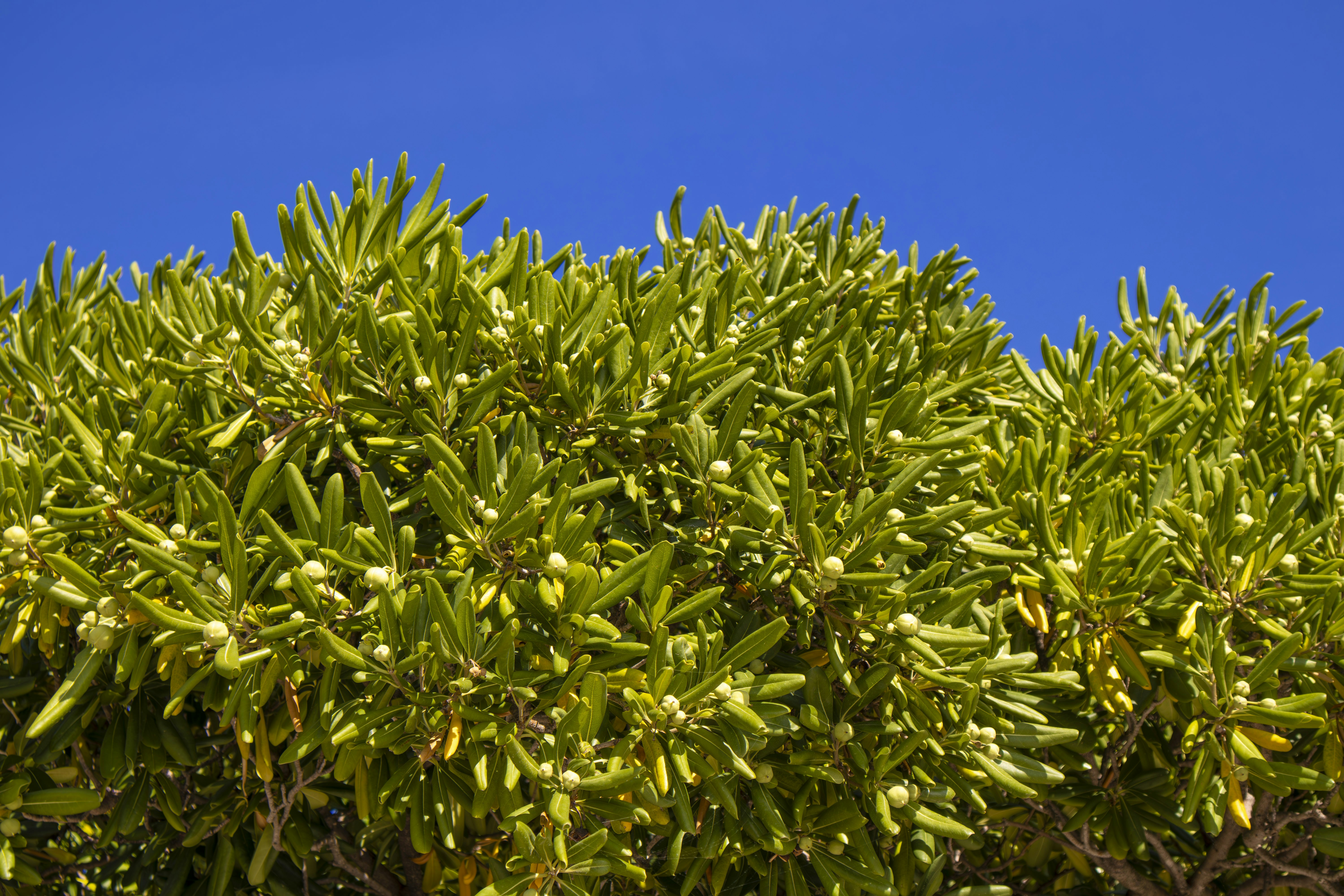 Photo by rolandtreiber