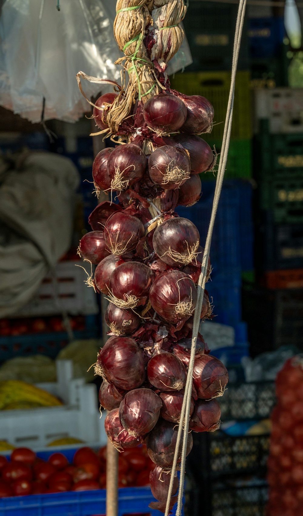 a bunch of onions hanging from a rope