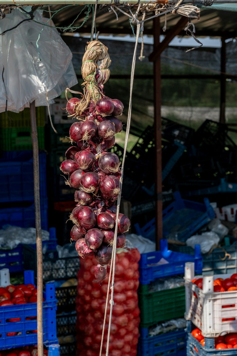 a bunch of onions hanging from a pole
