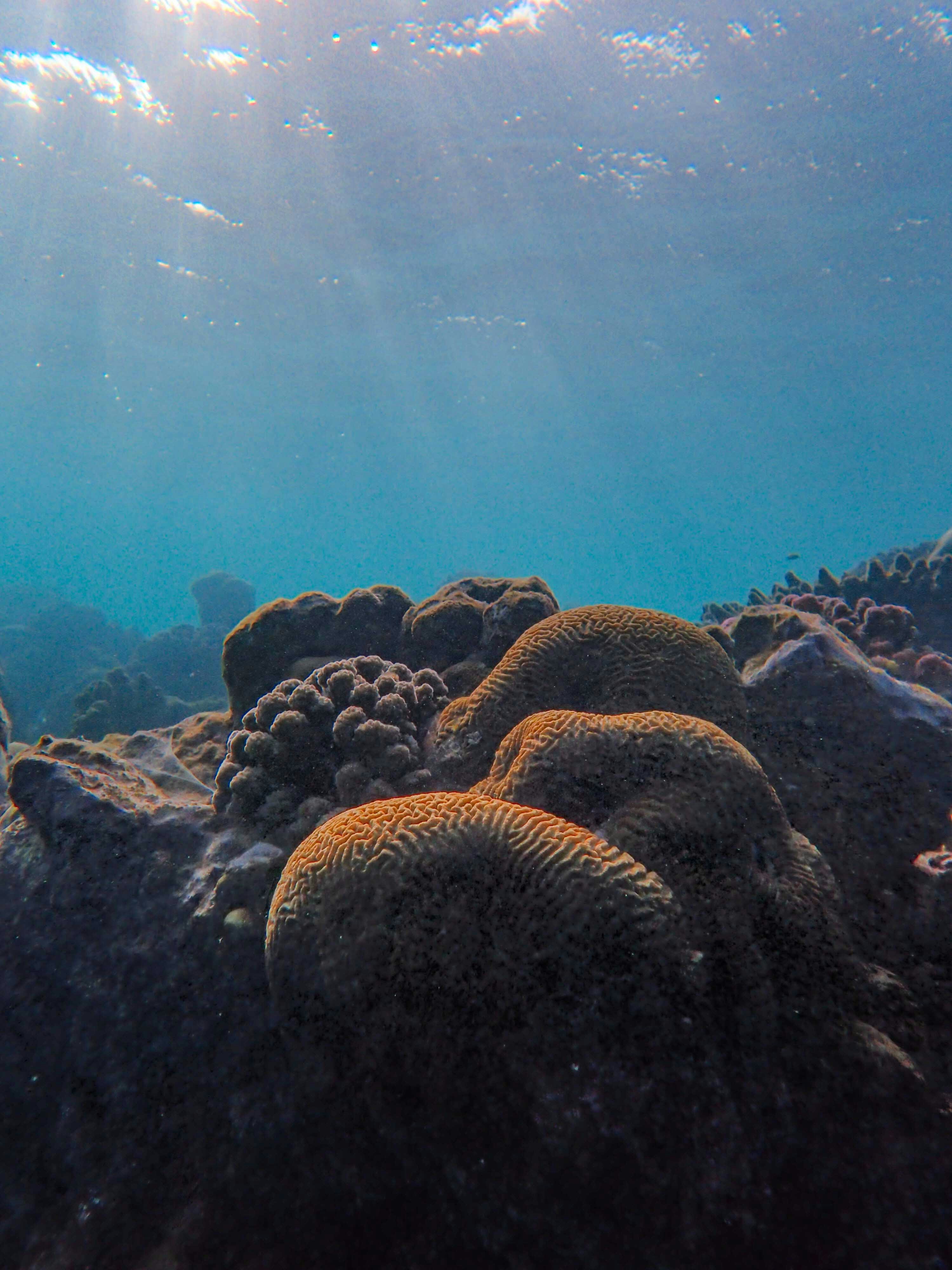 Photo by francesco_ungaro