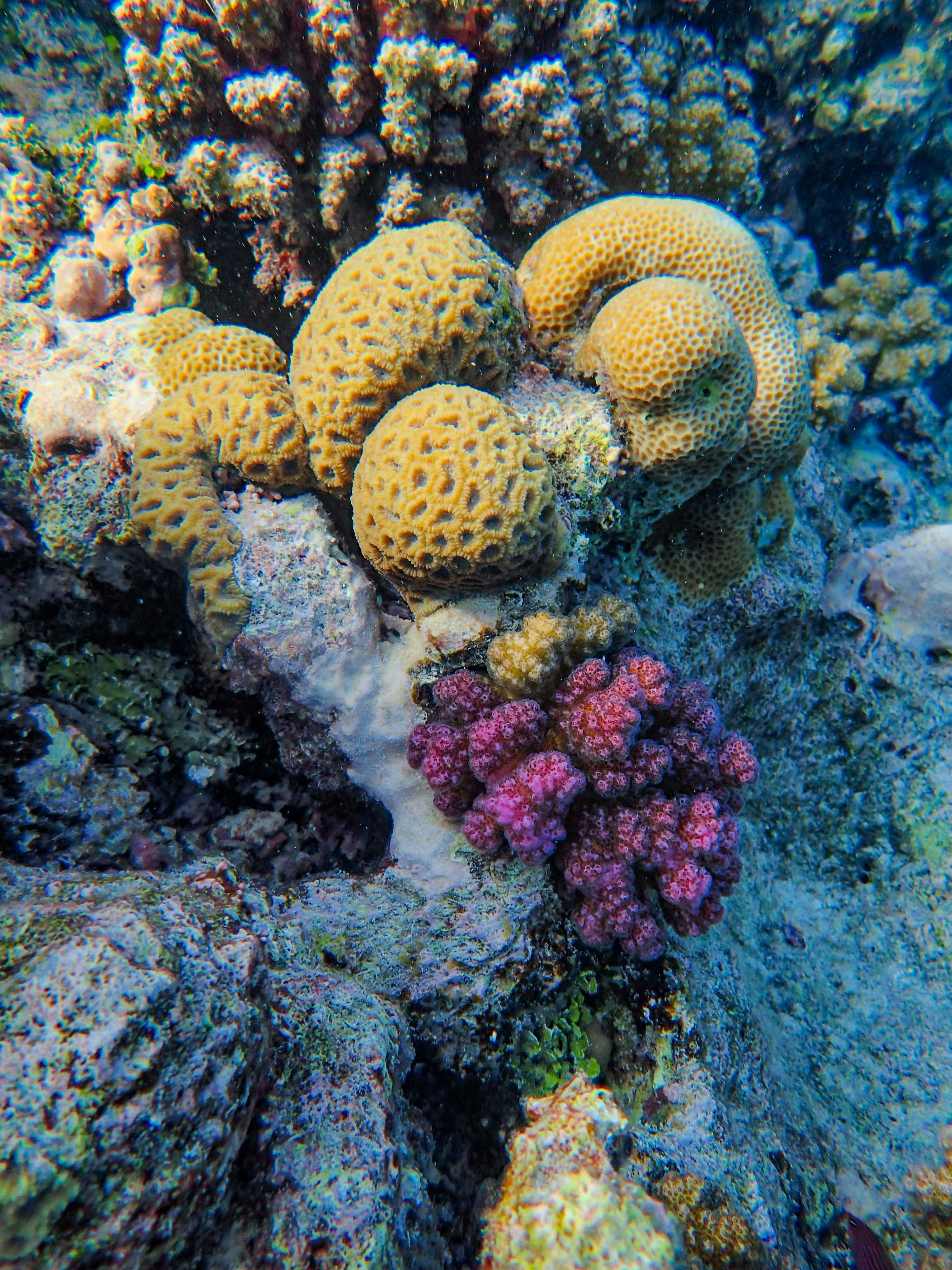 Photo by francesco_ungaro