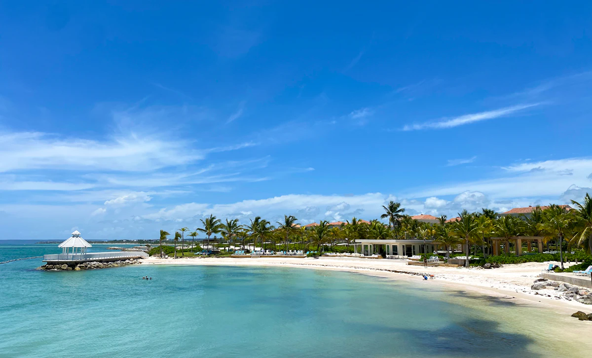 Palm trees and blue water on a beach in Punta Cana
