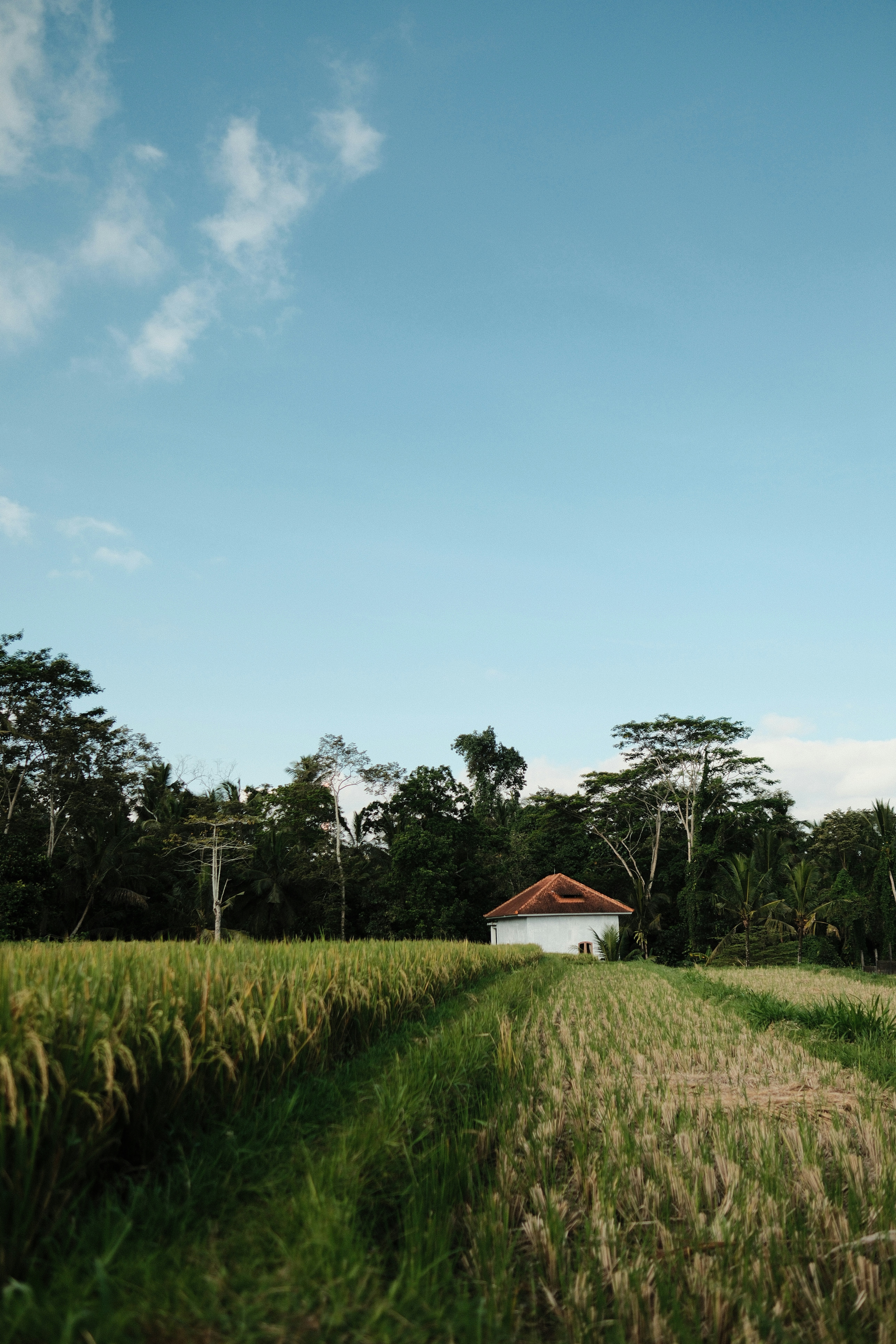 a house in the middle of a field