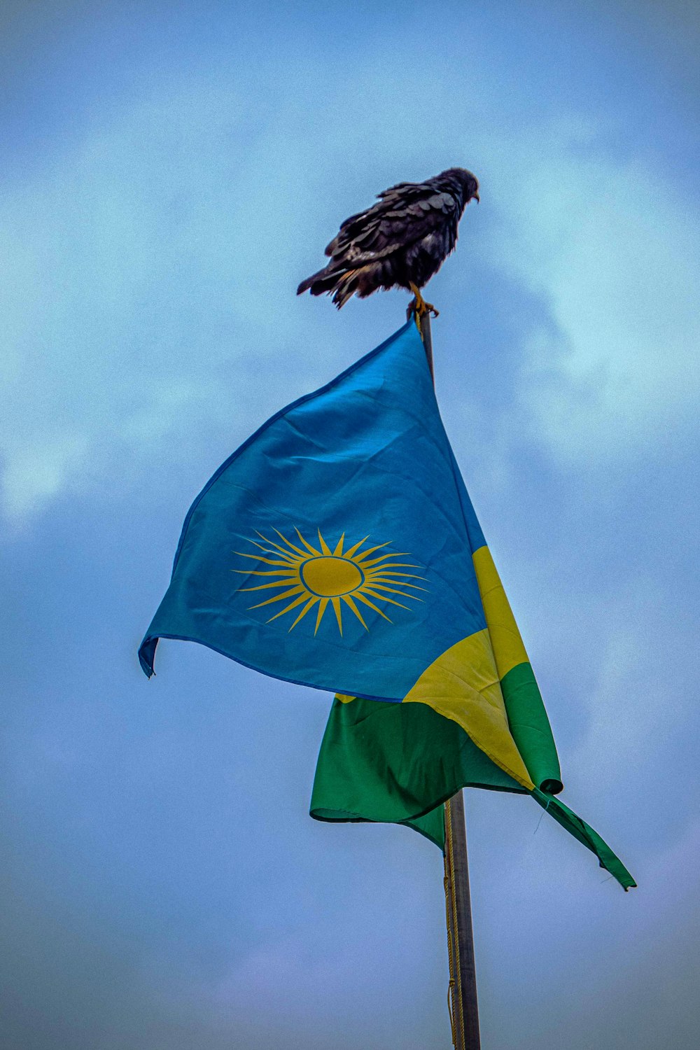 a bird perched on top of a flag