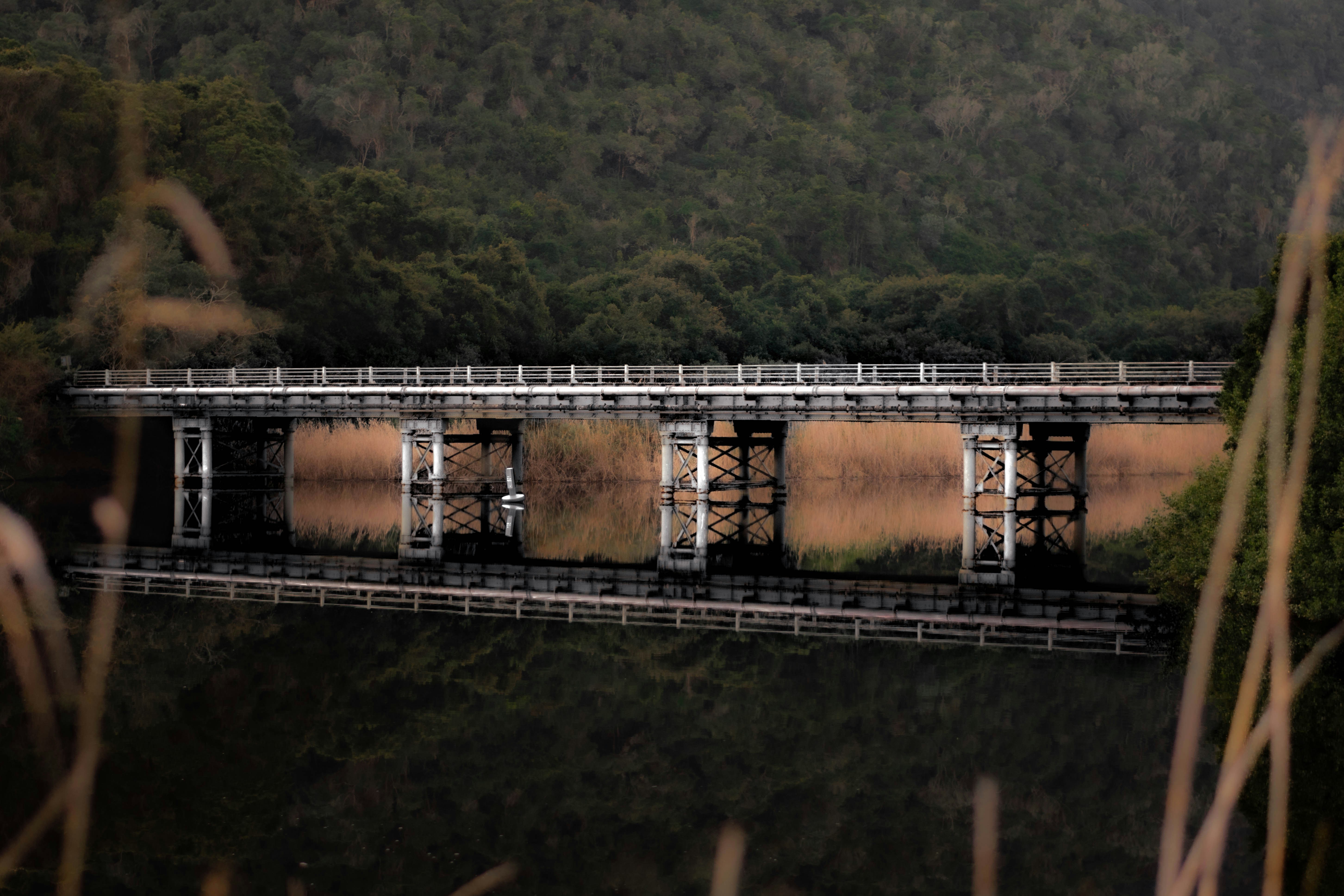 a bridge over a body of water with a forest in the background, An abandoned train bridge in Wilderness, South Africa, reflected against the water in the forest